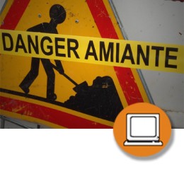 AMIANTO PRL (Autor) (4-20h) - ONLINE