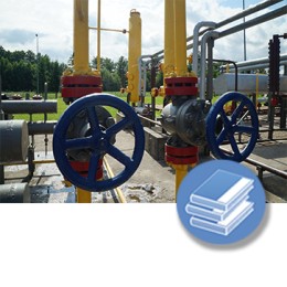 GASODUCTOS. REDES DISTRIBUCION GASES (C22) - LIBRO