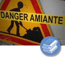 AMIANTO PRL (Autor) (4-20h) - LIBRO