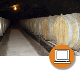 BODEGAS SECTOR VITIVINICOLA PRL (4-20h) - ONLINE