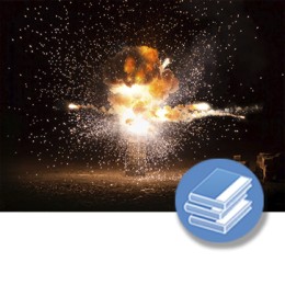 ATEX ATMOSFERAS EXPLOSIVAS PRL (4-20h) - LIBRO