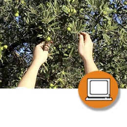 MANIPULADOR ALIMENTOS: SECTOR AGRICULTURA (4-20h) - ONLINE