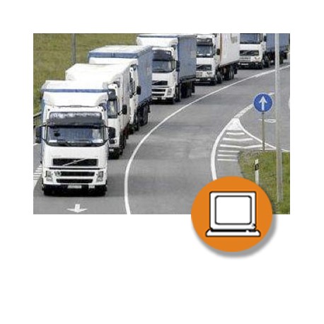 SEGURIDAD VIAL - TRANSPORTE CARGAS  (30-50h) - ONLINE