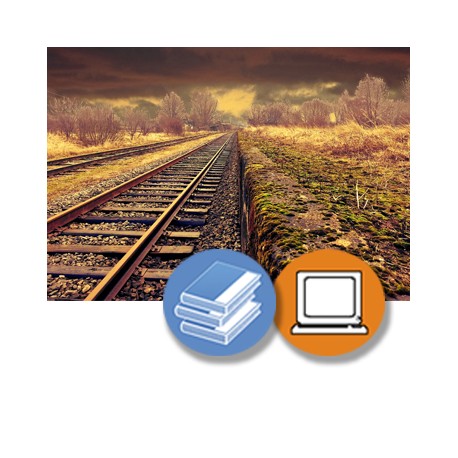 VIAS FERREAS - BASICO 50H - ONLINE