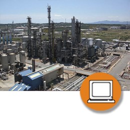 SECTOR PETROQUIMICO PRL (30-50) - ONLINE