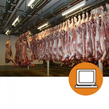 MANIPULADOR ALIMENTOS: INDUSTRIA CARNICA (4-20h) - ONLINE