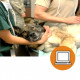 VETERINARIOS CLINICA. MATADERO ART19 (0-3h) - ONLINE