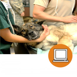 VETERINARIOS CLINICA. MATADERO (0-3h) - ONLINE