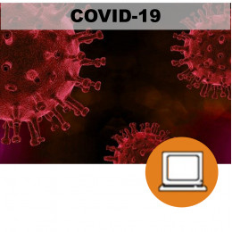 TELETRABAJO CORONAVIRUS COVID19 PRL (4-10h) - ONLINE