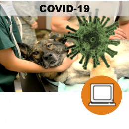 VETERINARIOS CORONAVIRUS COVID19 ART19 (0-3h) - ONLINE