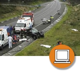 SEGURIDAD VIAL LABORAL (0-3h) - ONLINE