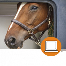 TRANSPORTE ANIMALES VIVOS. BIENESTAR ANIMAL.PRODUCTOS FRIOS (4-20h) - ONLINE