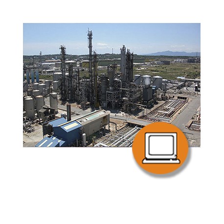 SECTOR PETROQUÍMICO CURSO BÁSICO SEGURIDAD (30,50,60h)