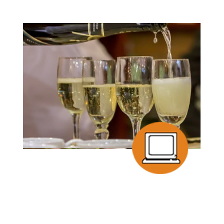 BARMAN / BARMAID (0-3h) - ONLINE