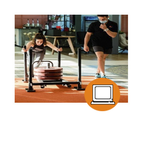 MONITOR DE GIMNASIO. ENTRENADOR PERSONAL (0-3h) - ONLINE