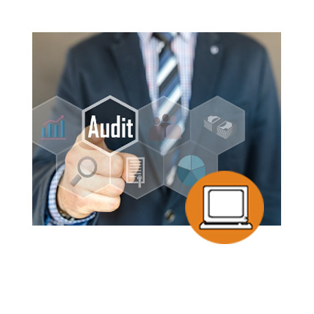 AUDITOR / A (0-3h) - ONLINE