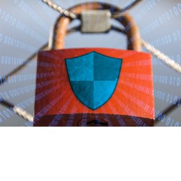 LEY ORGANICA DE PROTECCION DE DATOS Y GARANTIA DE DERECHOS DIGITALES (LOPDGDD) Y RGPD (0-4h) - ONLINE
